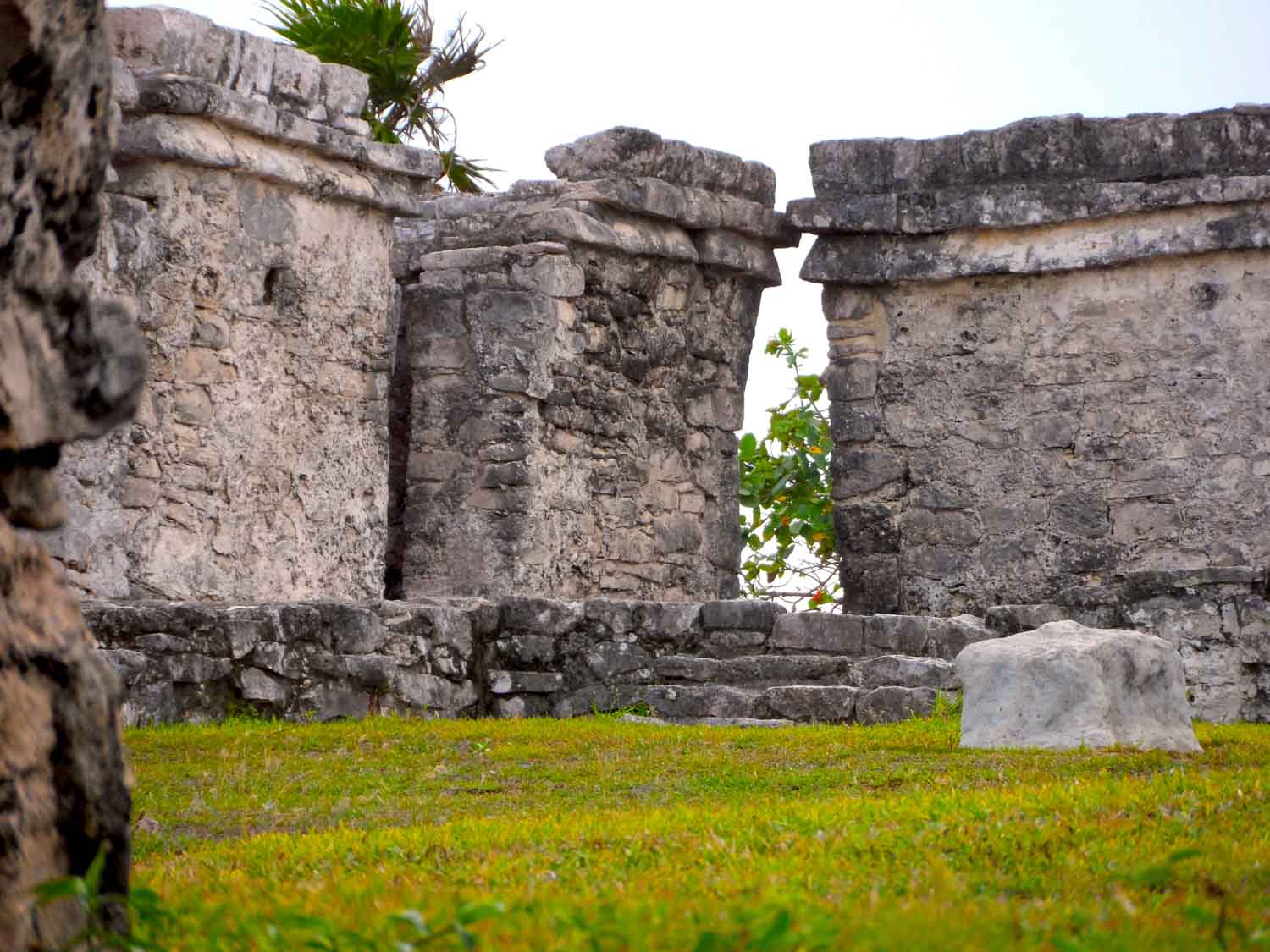 Tulum Mayan Ruins Express Early Half | Group Discount Rate $145.US dollars per person